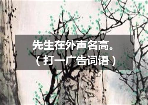 先生在外声名高。（打一广告词语）