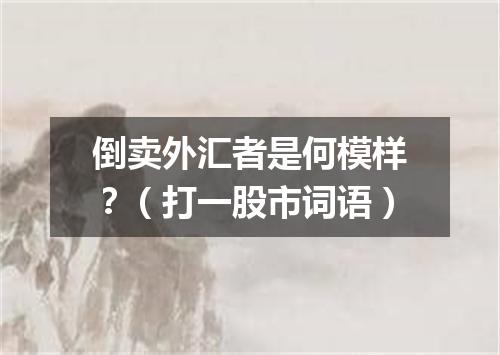 倒卖外汇者是何模样？（打一股市词语）