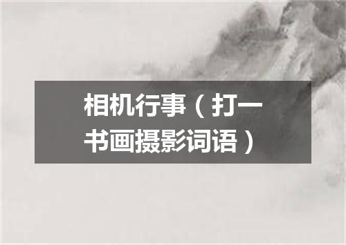 相机行事（打一书画摄影词语）