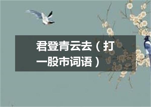 君登青云去（打一股市词语）