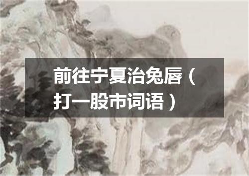 前往宁夏治兔唇（打一股市词语）