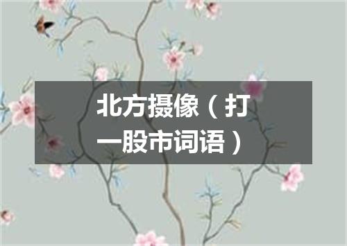 北方摄像（打一股市词语）