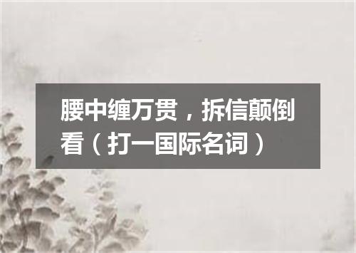 腰中缠万贯，拆信颠倒看（打一国际名词）