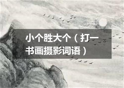 小个胜大个（打一书画摄影词语）