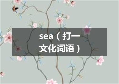 sea（打一文化词语）