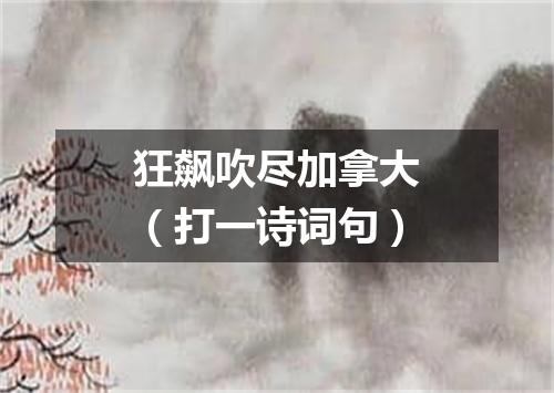 狂飙吹尽加拿大（打一诗词句）
