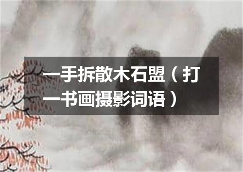 一手拆散木石盟（打一书画摄影词语）