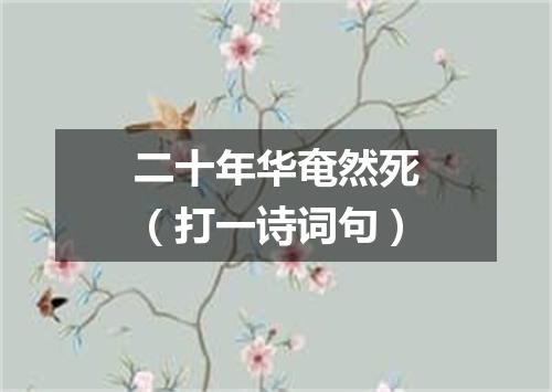 二十年华奄然死（打一诗词句）