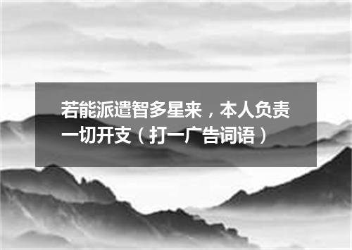 若能派遣智多星来，本人负责一切开支（打一广告词语）
