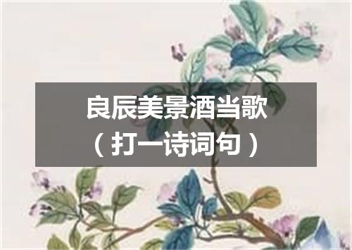 良辰美景酒当歌（打一诗词句）