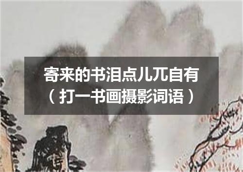 寄来的书泪点儿兀自有（打一书画摄影词语）