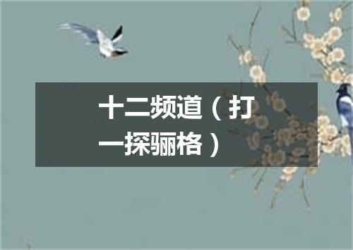 十二频道（打一探骊格）
