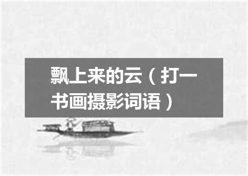 飘上来的云（打一书画摄影词语）