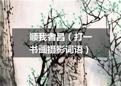 顺我者昌（打一书画摄影词语）