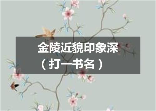 金陵近貌印象深（打一书名）