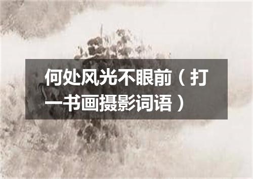 何处风光不眼前（打一书画摄影词语）