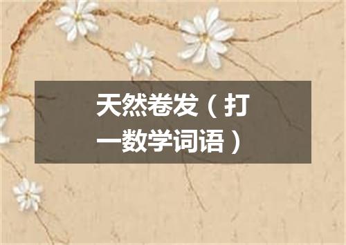 天然卷发（打一数学词语）