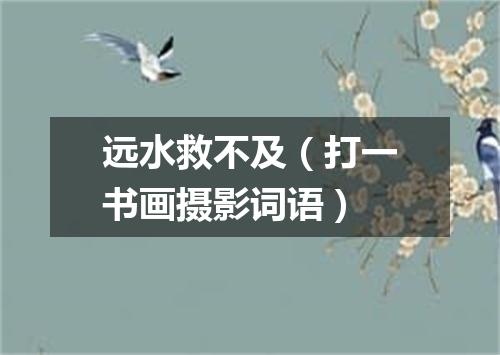 远水救不及（打一书画摄影词语）