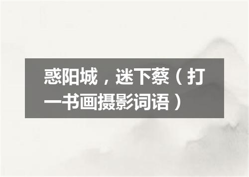惑阳城，迷下蔡（打一书画摄影词语）