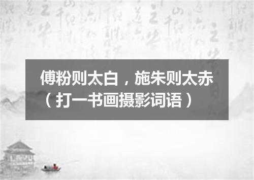 傅粉则太白，施朱则太赤（打一书画摄影词语）