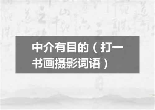 中介有目的（打一书画摄影词语）