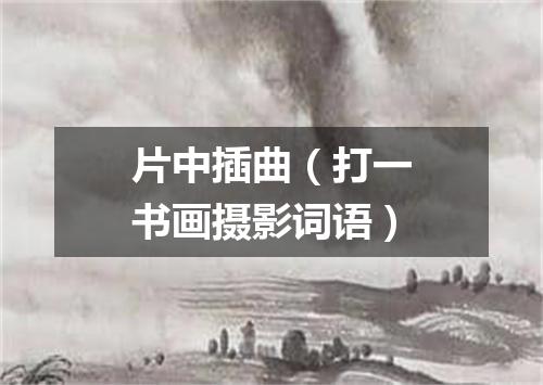 片中插曲（打一书画摄影词语）