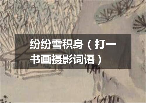 纷纷雪积身（打一书画摄影词语）