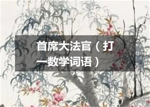 首席大法官（打一数学词语）
