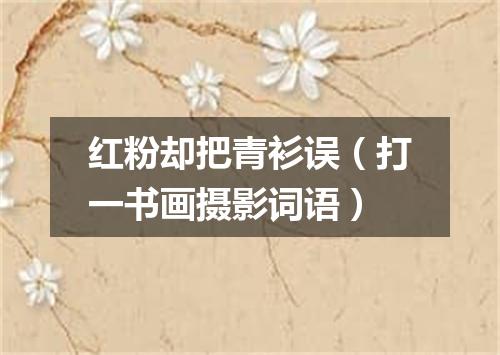 红粉却把青衫误（打一书画摄影词语）