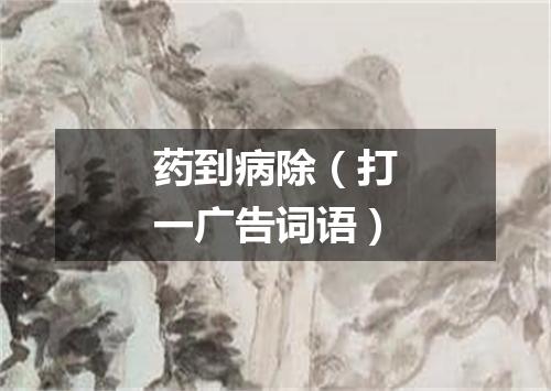 药到病除（打一广告词语）