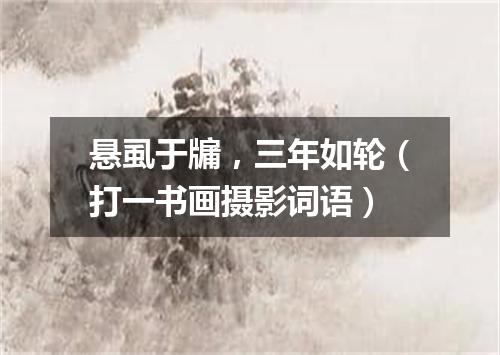 悬虱于牖，三年如轮（打一书画摄影词语）