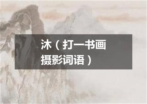 沐（打一书画摄影词语）