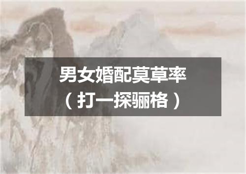 男女婚配莫草率（打一探骊格）