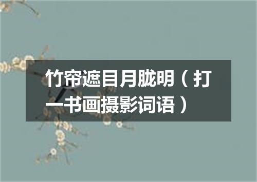 竹帘遮目月胧明（打一书画摄影词语）