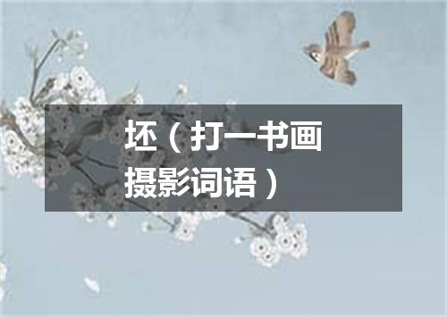 坯（打一书画摄影词语）