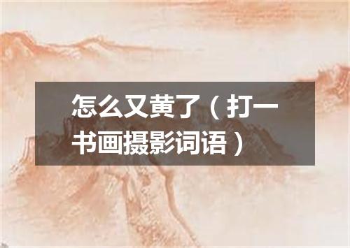 怎么又黄了（打一书画摄影词语）
