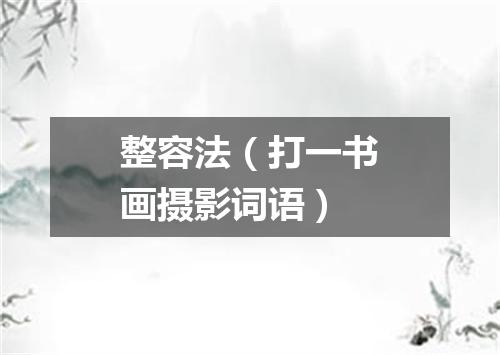 整容法（打一书画摄影词语）