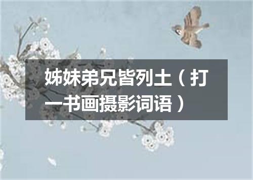 姊妹弟兄皆列土（打一书画摄影词语）