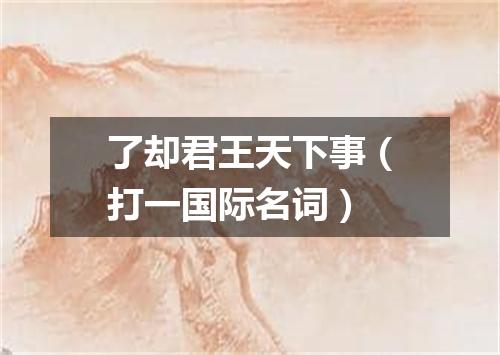 了却君王天下事（打一国际名词）