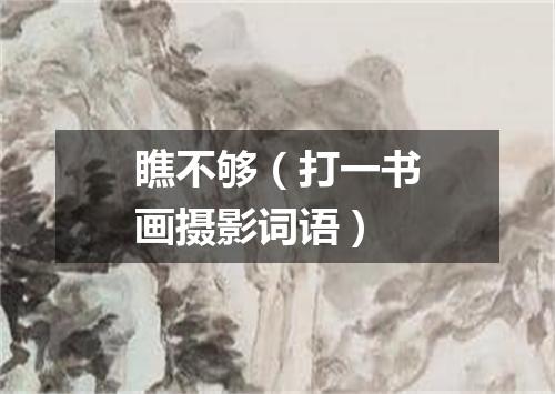 瞧不够（打一书画摄影词语）
