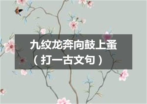 九纹龙奔向鼓上蚤（打一古文句）