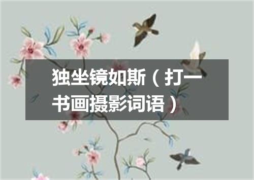 独坐镜如斯（打一书画摄影词语）