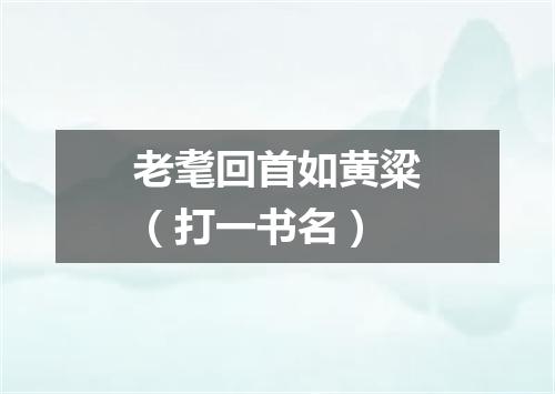 老耄回首如黄粱（打一书名）
