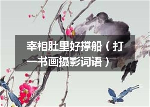 宰相肚里好撑船（打一书画摄影词语）
