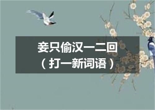 妾只偷汉一二回（打一新词语）