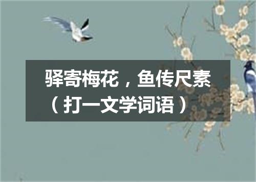驿寄梅花，鱼传尺素（打一文学词语）