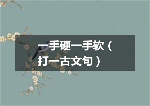 一手硬一手软（打一古文句）