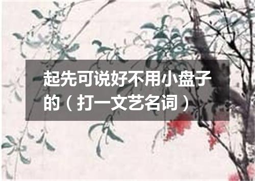 起先可说好不用小盘子的（打一文艺名词）
