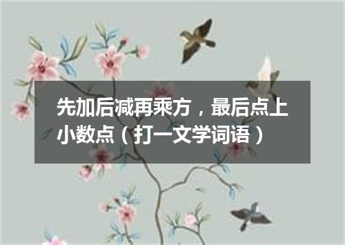 先加后减再乘方，最后点上小数点（打一文学词语）