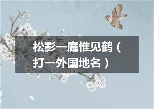 松影一庭惟见鹤（打一外国地名）